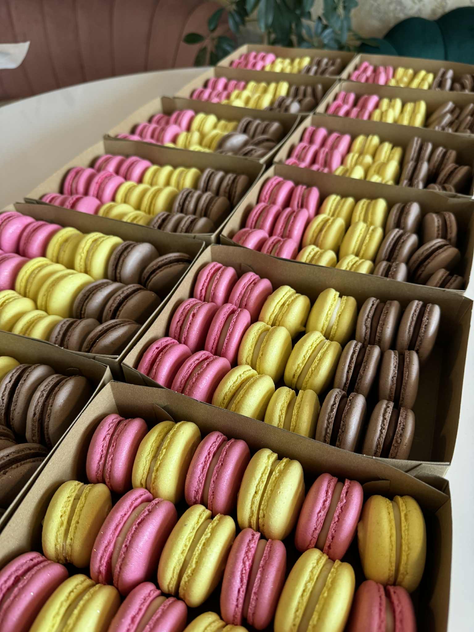 att-wboixil7g6wuhd-bs02vpd1lgik8jxxwz2xxwby4xle